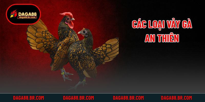 Các loại vảy gà an thiên