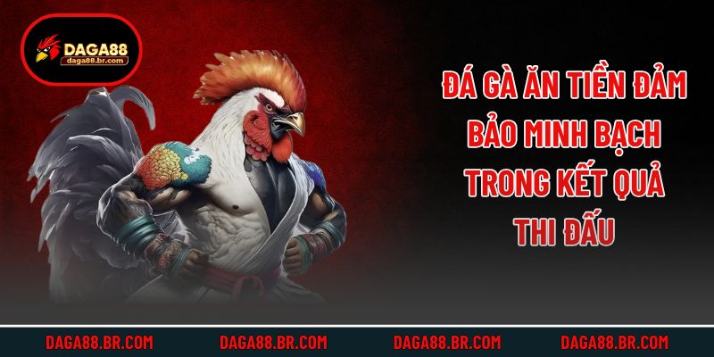 Đá gà ăn tiền đảm bảo minh bạch trong kết quả thi đấu