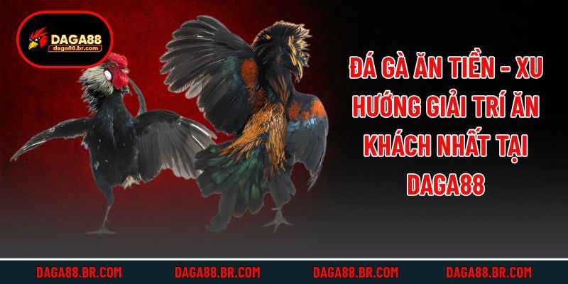 Đá Gà Ăn Tiền - Xu Hướng Giải Trí Ăn Khách Nhất Tại Daga88
