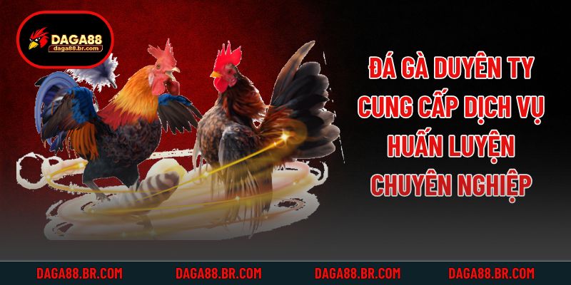 Đá gà Duyên Ty cung cấp dịch vụ huấn luyện chuyên nghiệp