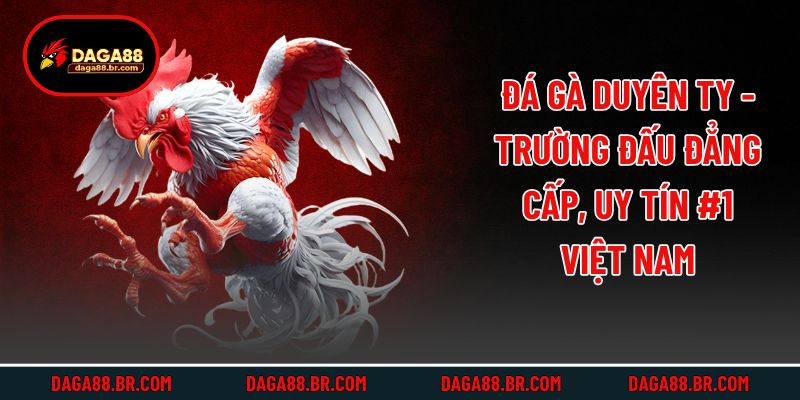 Đá Gà Duyên Ty - Trường Đấu Đẳng Cấp, Uy Tín #1 Việt Nam
