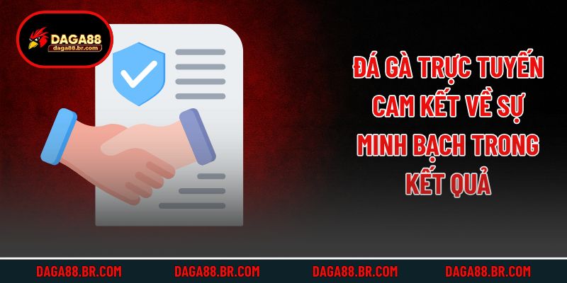 Đá gà trực tuyến cam kết về sự minh bạch trong kết quả