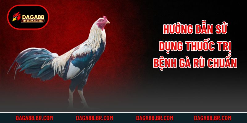 Hướng dẫn sử dụng thuốc trị bệnh gà rù chuẩn