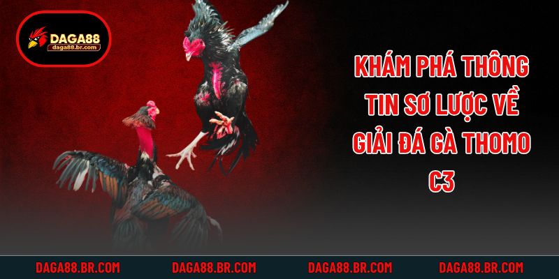 Khám phá thông tin sơ lược về giải đá gà thomo c3