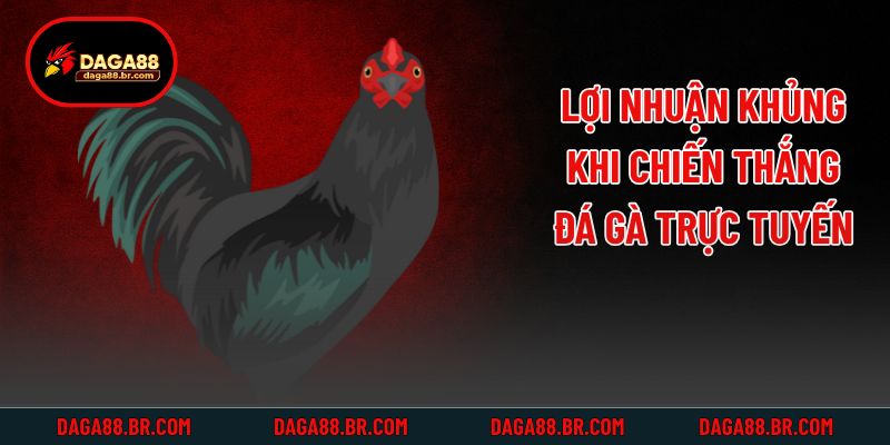 Lợi nhuận khủng khi chiến thắng đá gà trực tuyến