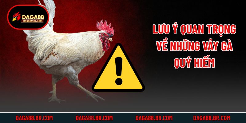 Lưu ý quan trọng về những vảy gà quý hiếm