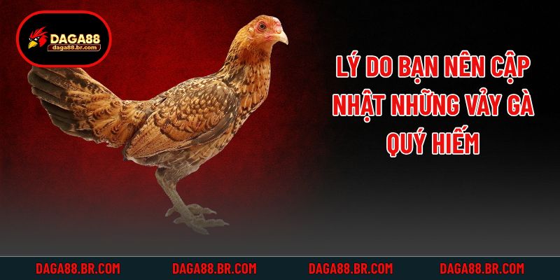Lý do bạn nên cập nhật những vảy gà quý hiếm