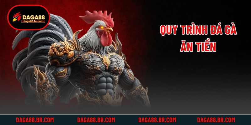 Quy trình đá gà ăn tiền