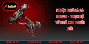 Thuật Ngữ Đá Gà Thomo - Trọn Bộ Từ Ngữ Cho Người Mới