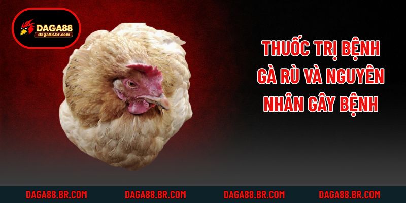 Thuốc trị bệnh gà rù và nguyên nhân gây bệnh