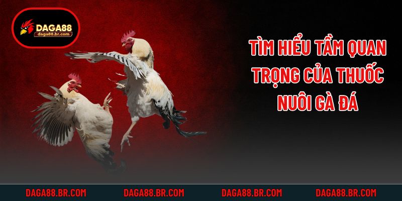 Tìm hiểu tầm quan trọng của thuốc nuôi gà đá