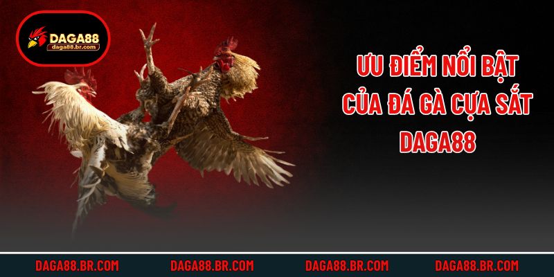 Ưu điểm nổi bật của đá gà cựa sắt Daga88