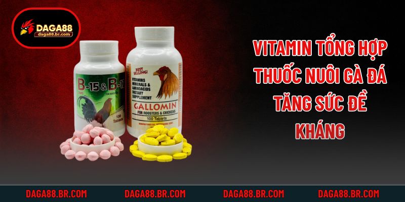 Vitamin tổng hợp - Thuốc nuôi gà đá tăng sức đề kháng