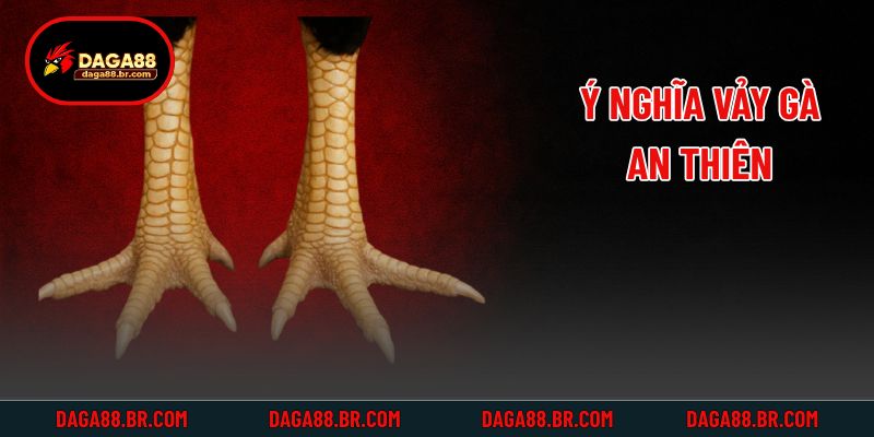Ý nghĩa vảy gà an thiên